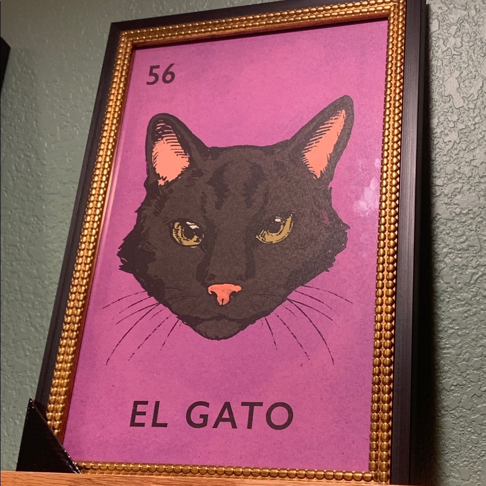 Colorful Black Cat Wall Art Prints New Framed